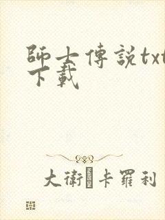 师士传说txt下载
