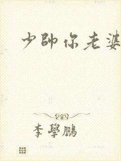 少帅你老婆