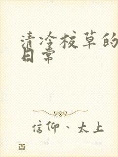 清冷校草的抹布日常