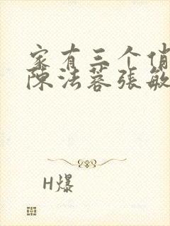 家有三个俏媳妇陈法蓉张敏