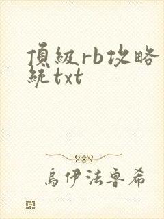 顶级rb攻略系统txt