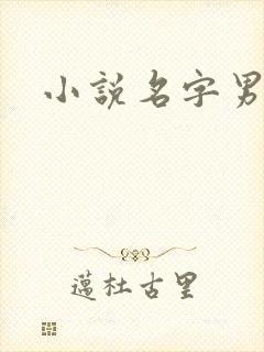 小说名字男生