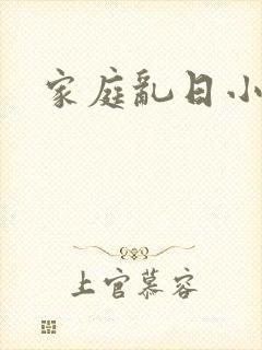 家庭乱日小说