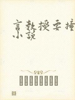 言教授要撞坏了小说