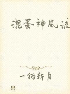 混蛋神风流记