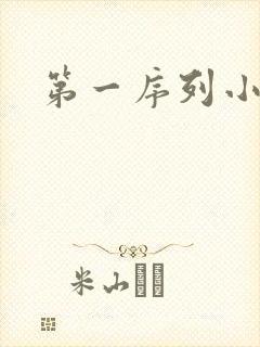 第一序列小说