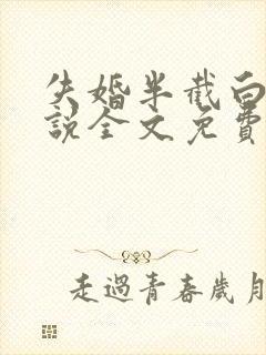 失婚半截白菜小说全文免费阅读