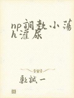 np调教小荡货h灌尿