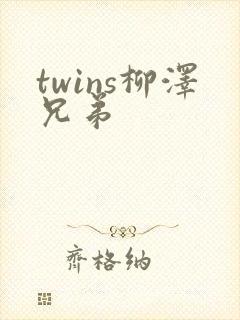 twins柳泽兄弟