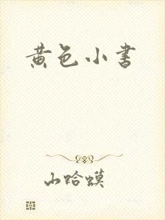 黄色小书
