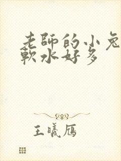 老师的小兔子好软水好多