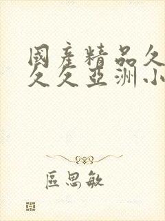 国产精品久久久久久亚洲小说