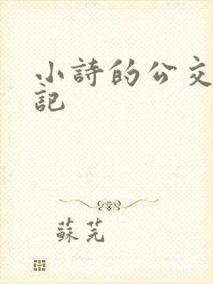 小诗的公交车日记