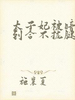 太子妃被暗卫C到合不拢腿