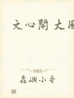 文心阁 大团结