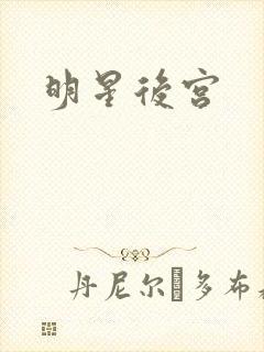 明星后宫