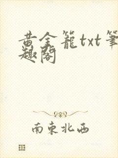 黄金笼txt笔趣阁