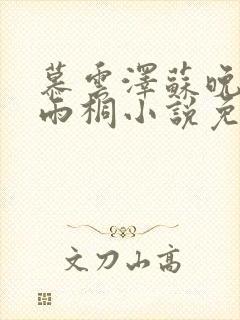 慕云泽苏晚晴夏雨桐小说免费阅读