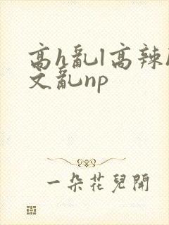 高h乱l高辣h文乱np