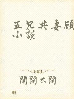 五兄共妻顾心儿小说