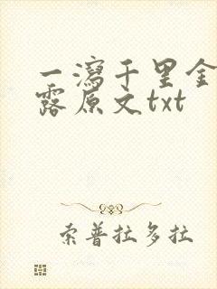 一泻千里金银花露原文txt