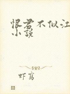 恨君不似江楼月小说