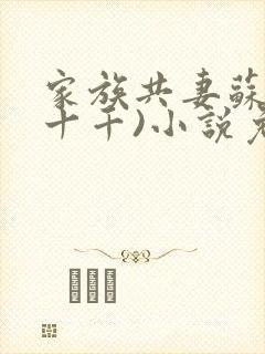 家族共妻苏苏(十千)小说免费