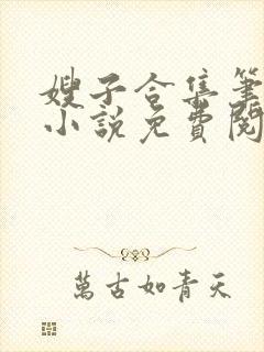 嫂子合集笔趣阁小说免费阅读