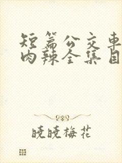 短篇公交车高h肉辣全集目录