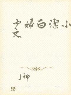 少妇白洁小说全文