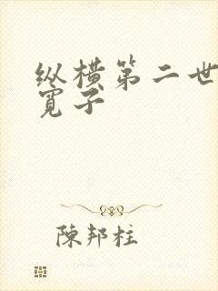纵横第二世界 宽子