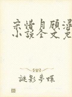 宋惜月顾浔渊的小说全文免费阅读