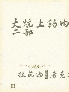 大炕上的肉伦第二部