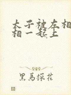 太子被左相和右相一起上