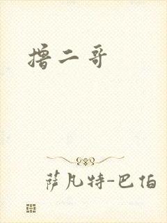撸二哥