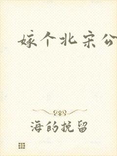 嫁个北宋公务员