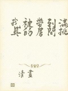 我被带到满是玩具的房间挑调作文