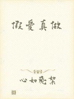假爱真做
