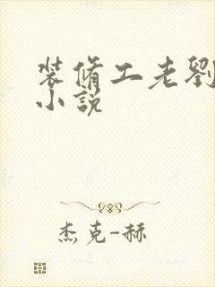 装修工老刘林雪小说