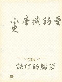 小唐璜的爱情历史