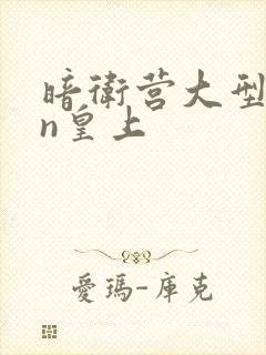 暗卫营大型hpn皇上