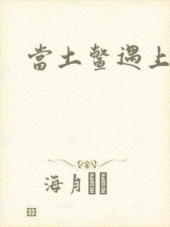 当土鳖遇上海龟