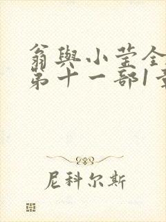 翁与小莹全目录第十一部1章