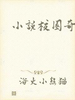 小说校园奇侠