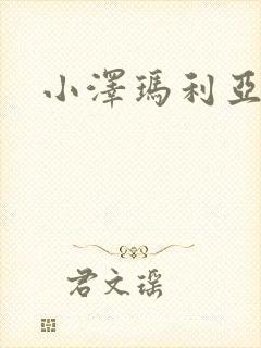 小泽玛利亚作品