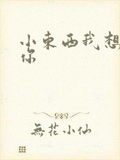 小东西我想弄坏你