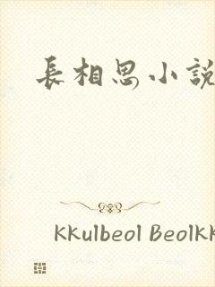 长相思小说原著