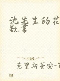 沈先生的花式调数书