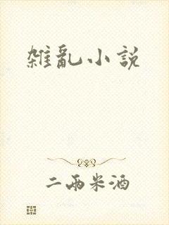 杂乱小说