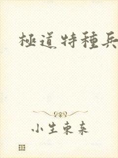 极道特种兵